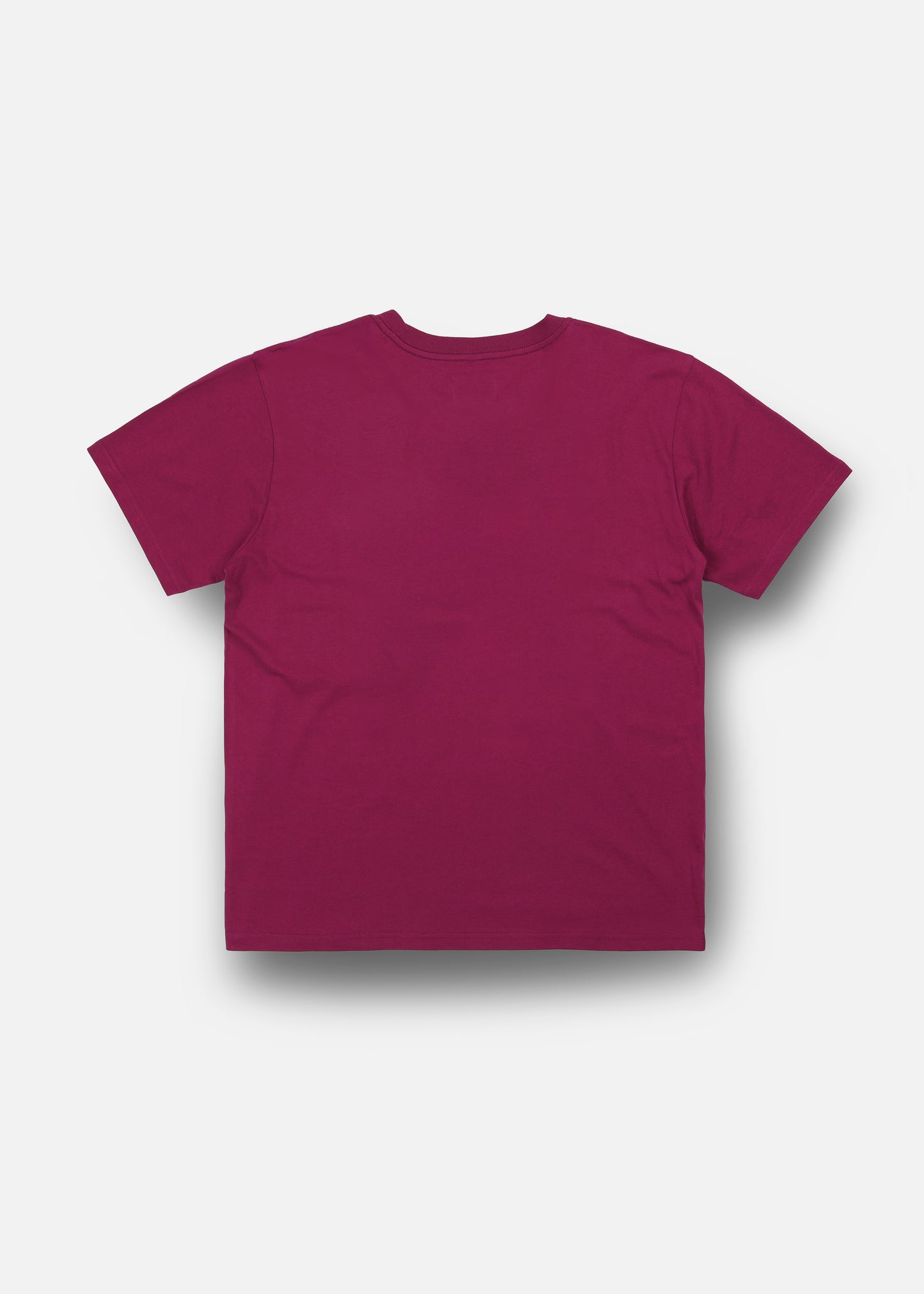 REASON T-SHIRT : GRAPE